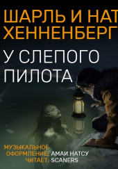 У слепого пилота