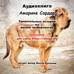 Обычные и необычные истории Удивительные истории из жизни четвероногих