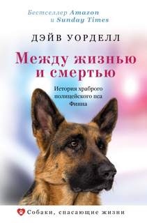 Между жизнью и смертью