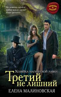 Хозяйка магической лавки Третий не лишний