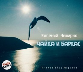 Чайка и баркас