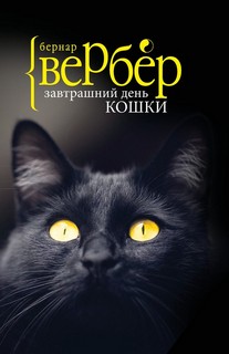 Кошки Завтрашний день кошки