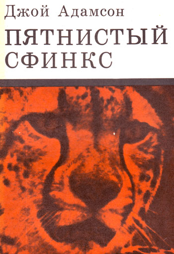 Пиппа Пятнистый сфинкс