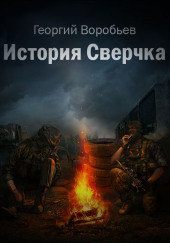 S.T.A.L.K.E.R. История Сверчка