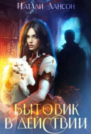 Бытовик в действии