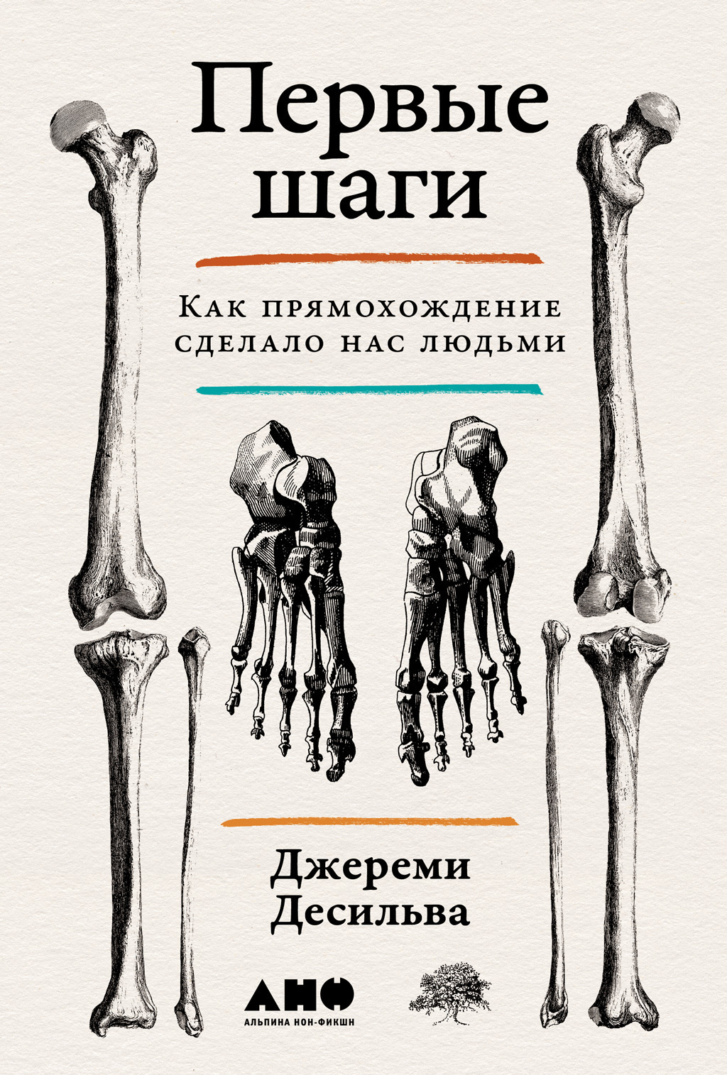Первые шаги