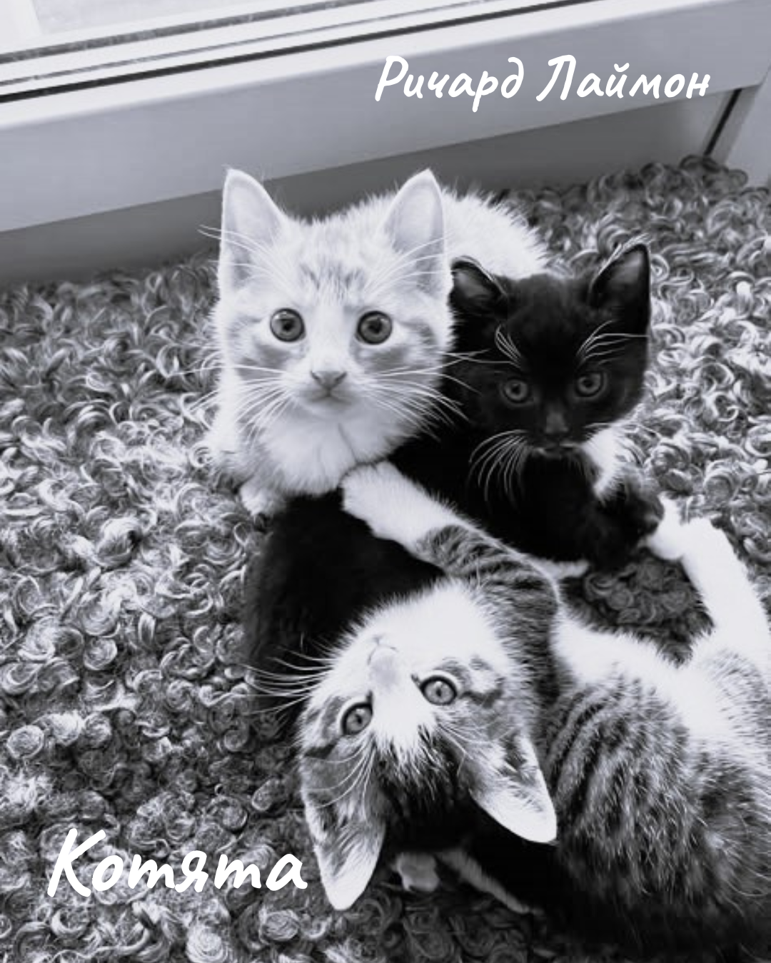 Котята