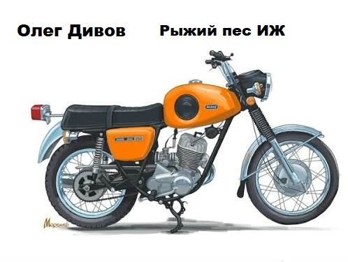 Рыжий пес ИЖ