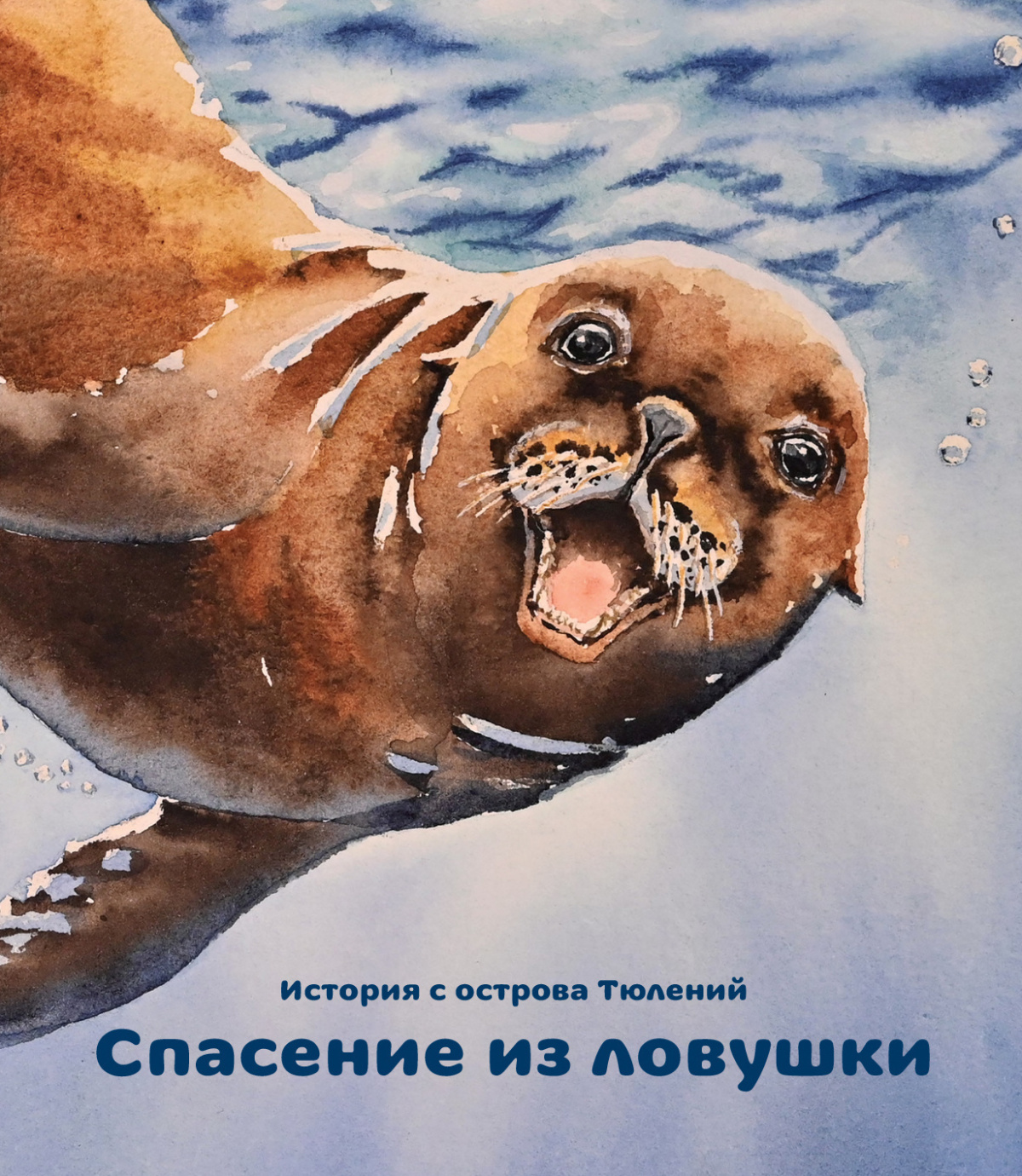 История с острова Тюлений. Спасение из ловушки
