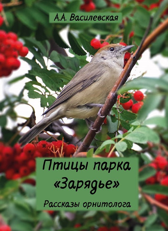 Зарядье
