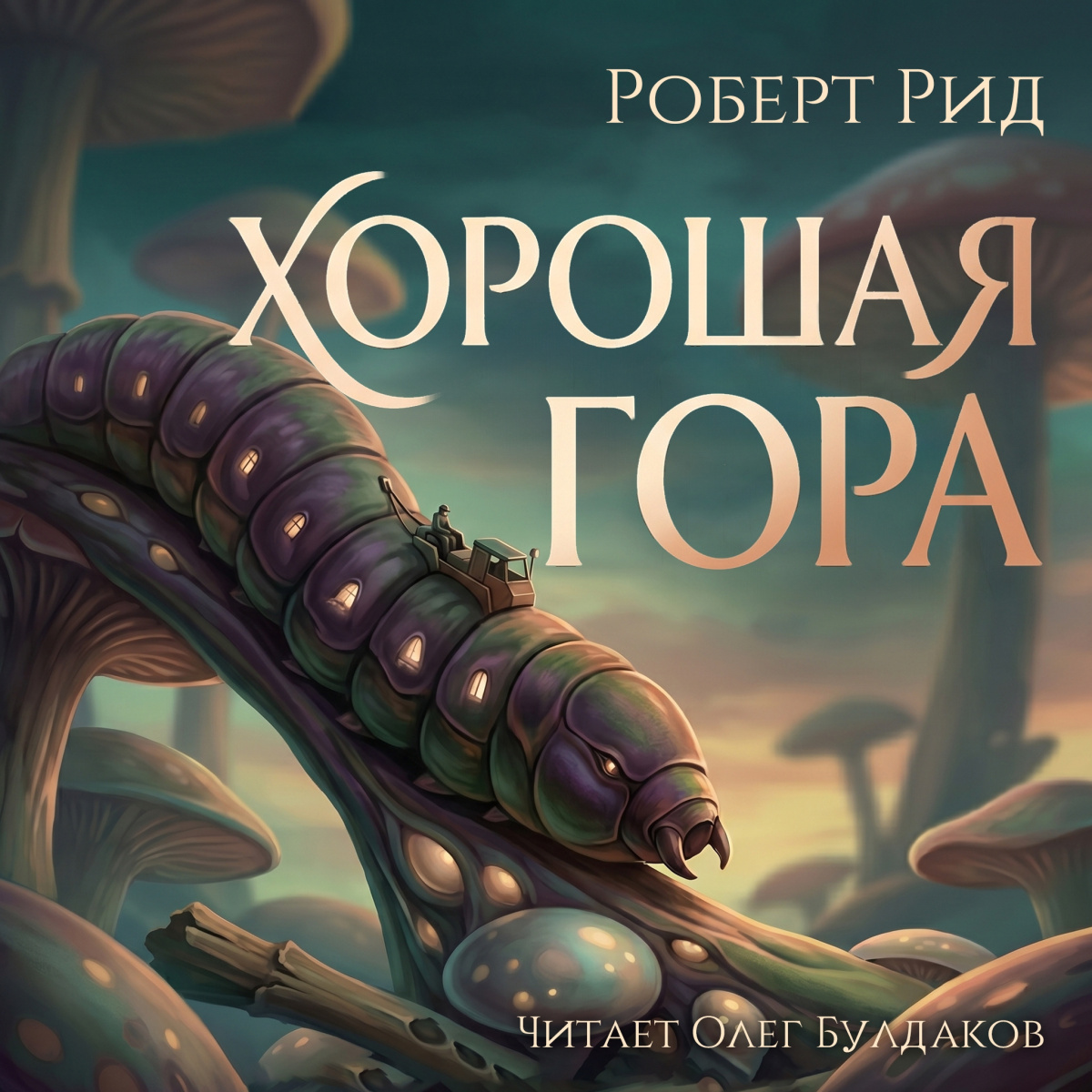 Хорошая гора