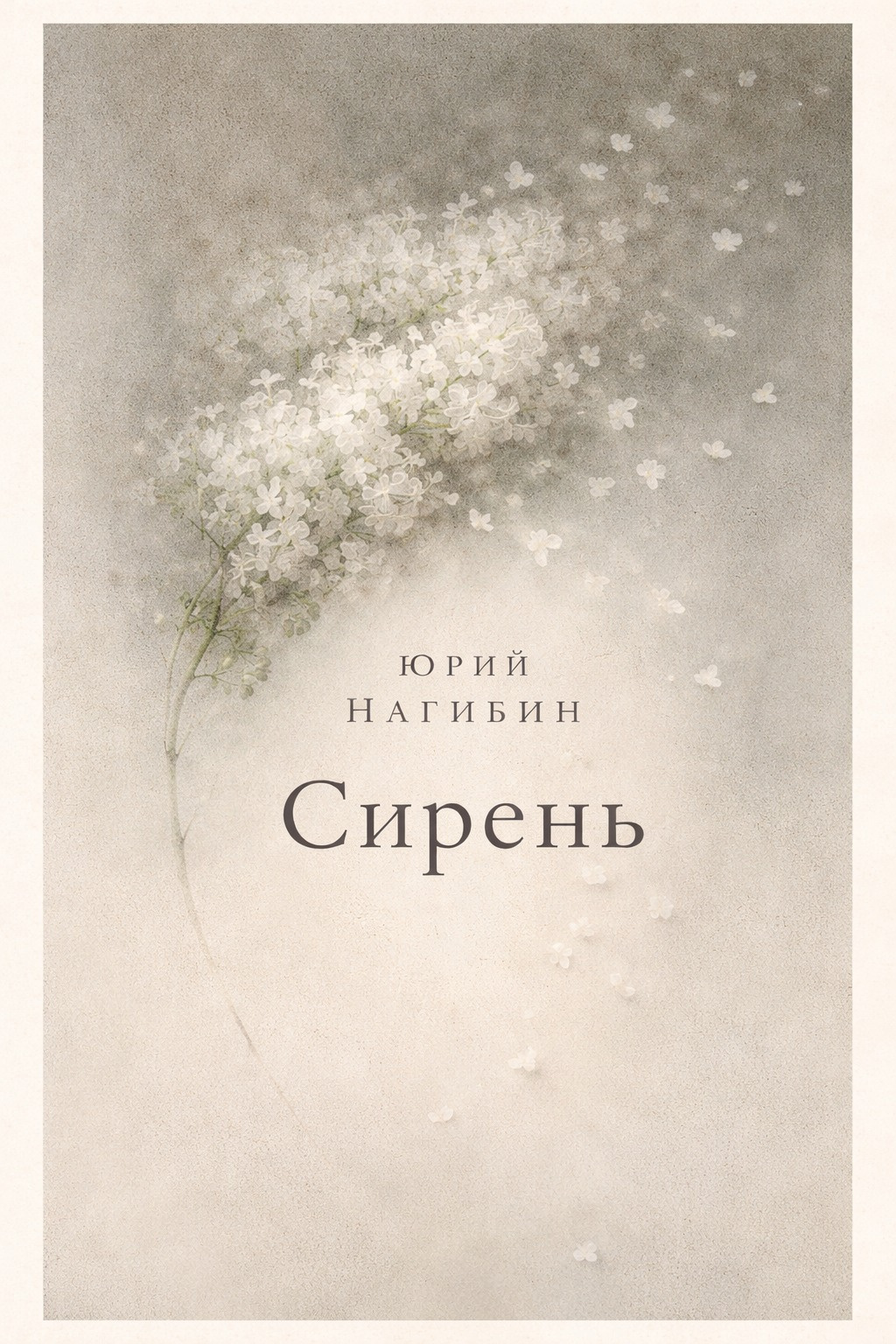 Сирень