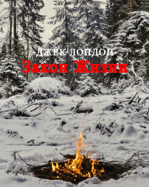 Закон жизни