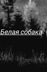 Белая собака