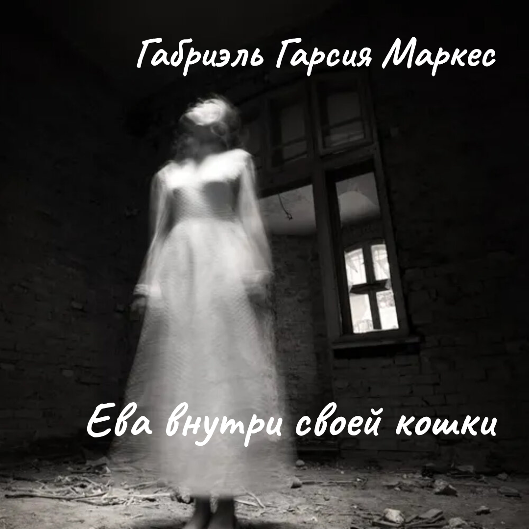 Ева внутри своей кошки