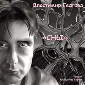 СНЫ