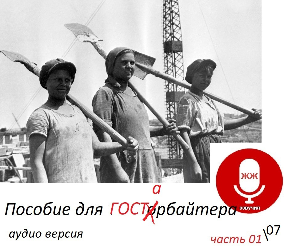 Пособие для ГАСТОрбайтера