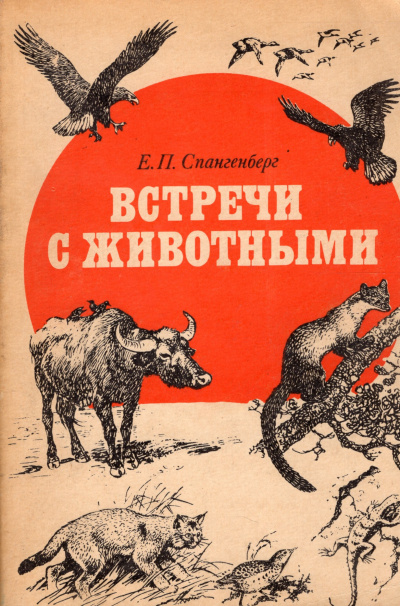 Встречи с животными