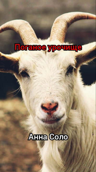 Поганое урочище