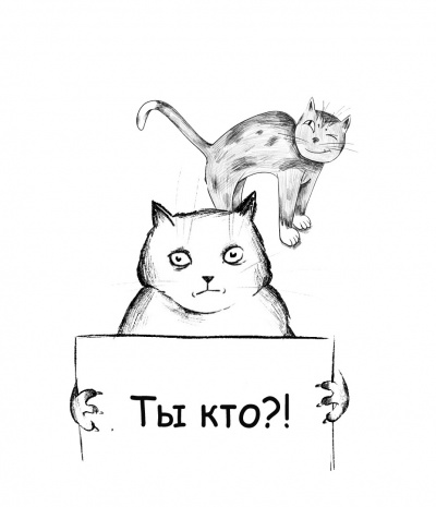 Коллекция номер