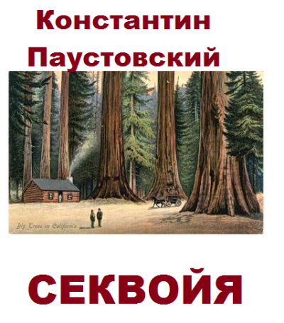 Секвойя