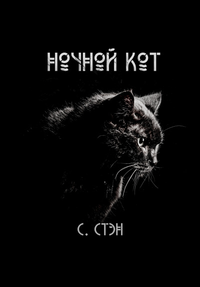 Ночной кот