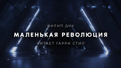 Маленькая революция