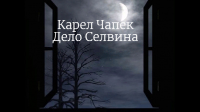 Дело Селвина