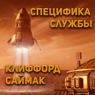 Специфика службы