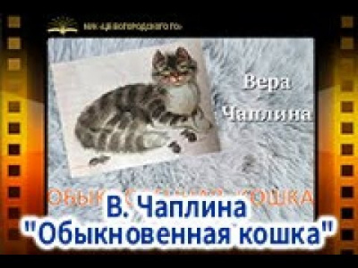 Обыкновенная кошка