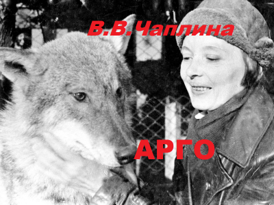 Арго