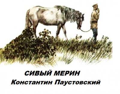 Сивый мерин