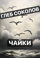 Чайки
