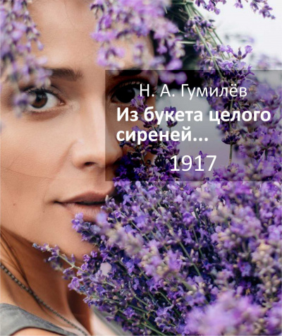 Из букета целого сиреней