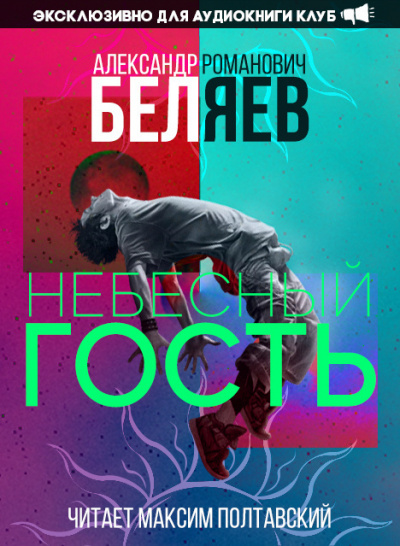 Небесный гость