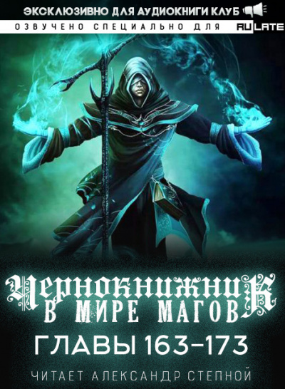 Чернокнижник в мире магов-173