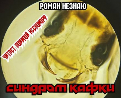 Незнаю Роман – Синдром Кафки