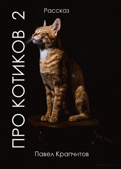 Про котиков