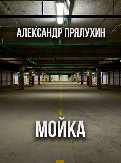 Мойка