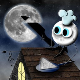 Повар и кот