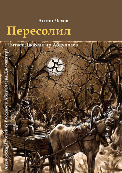 Пересолил