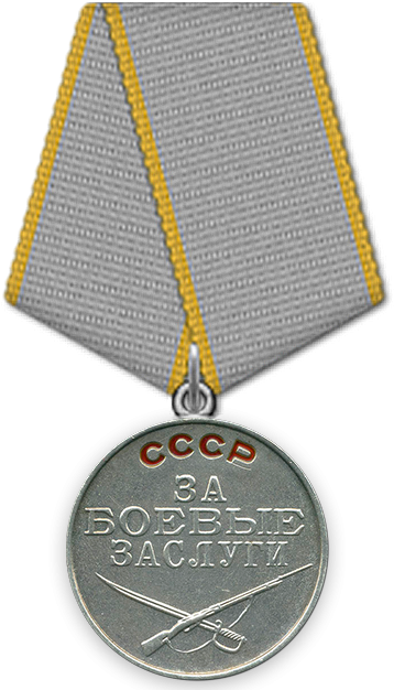 Бионический глаз