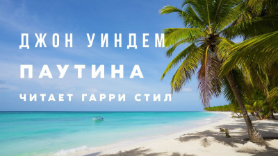 Паутина