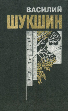 Бессовестные