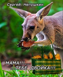 Мама!!! ....тебе двойка!!!