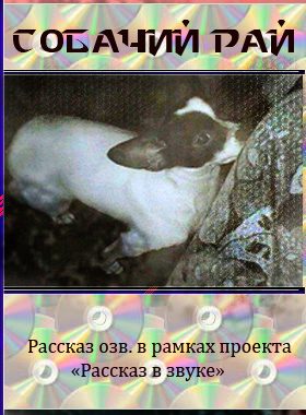 Собачий рай