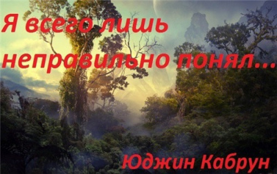 Я всего лишь неправильно понял