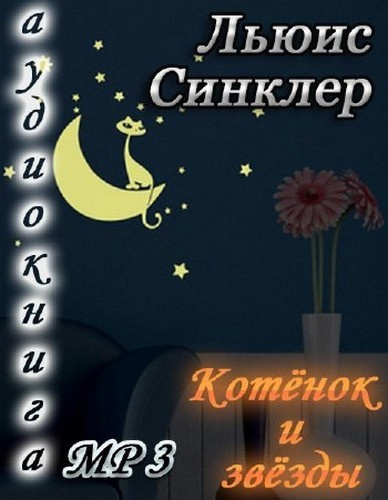 Котёнок и звезды