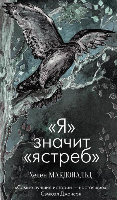 Ястреб