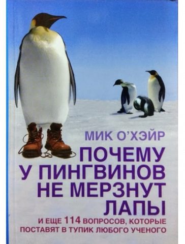 Почему у пингвинов не мерзнут лапы?